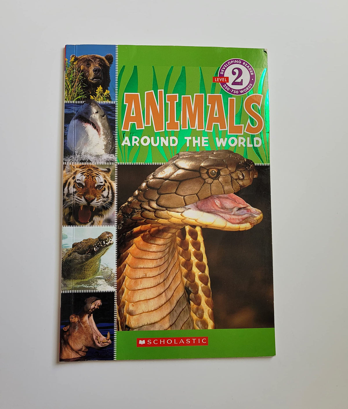 Animals Around the World