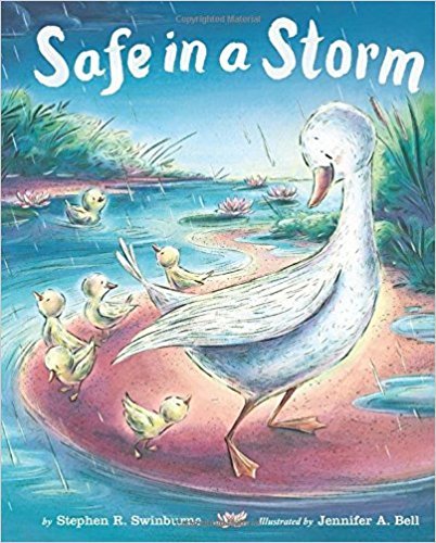Safe In A Storm