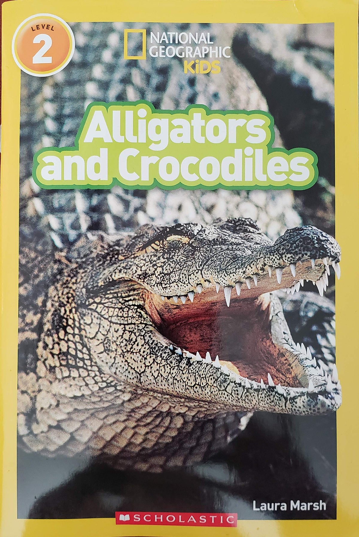 Alligators and Crocodiles