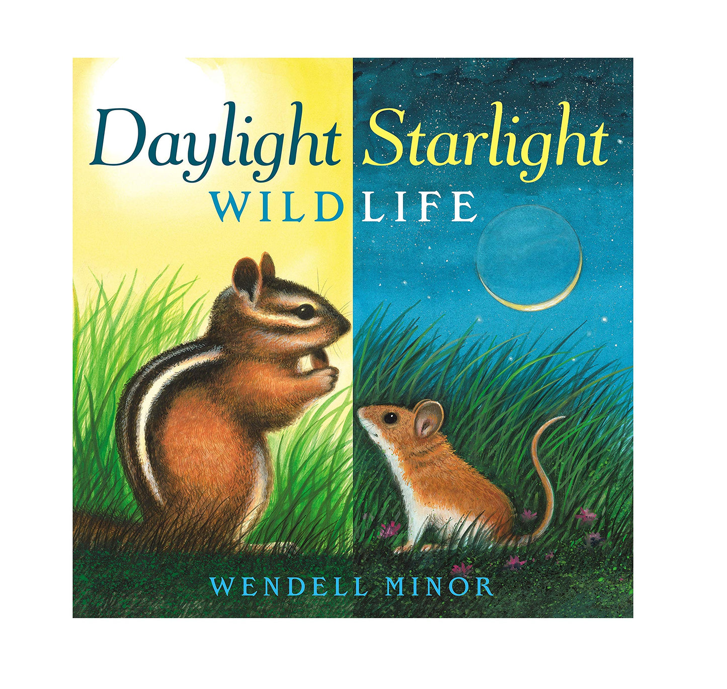 Daylight Starlight Wildlife