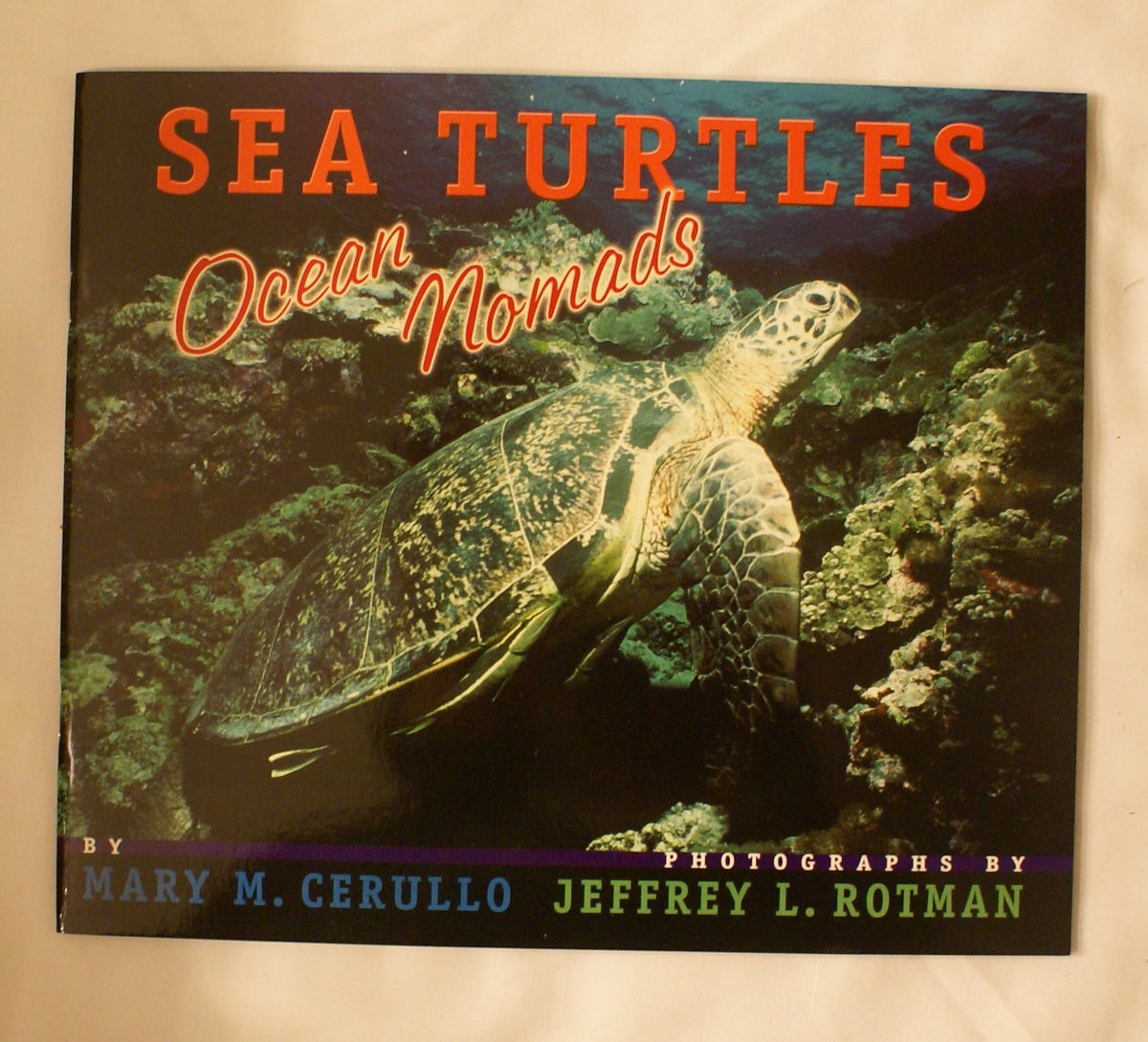 Sea Turtles: Trade Novel Grade 4 (Journeys)