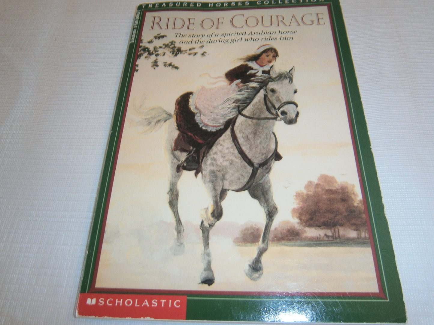 Ride of Courage: The Story of a Spirited Arabian Horse and the Daring Girl Who Rides Him (TREASURED HORSES)