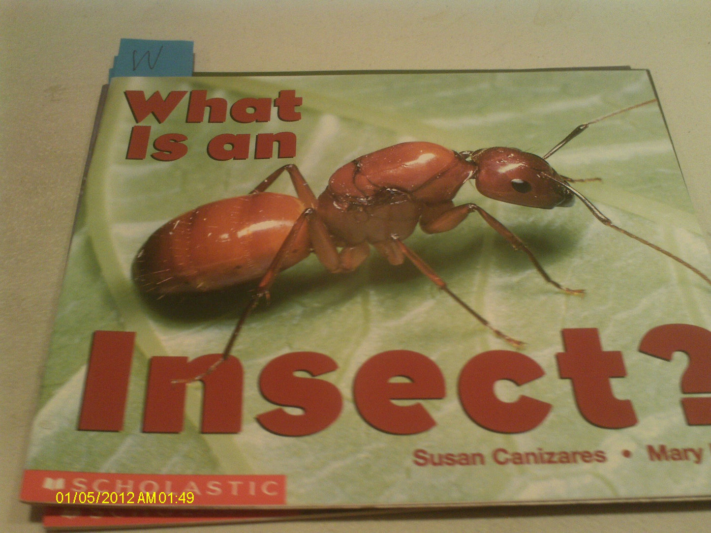 What Is An Insect? (Emergent Readers)
