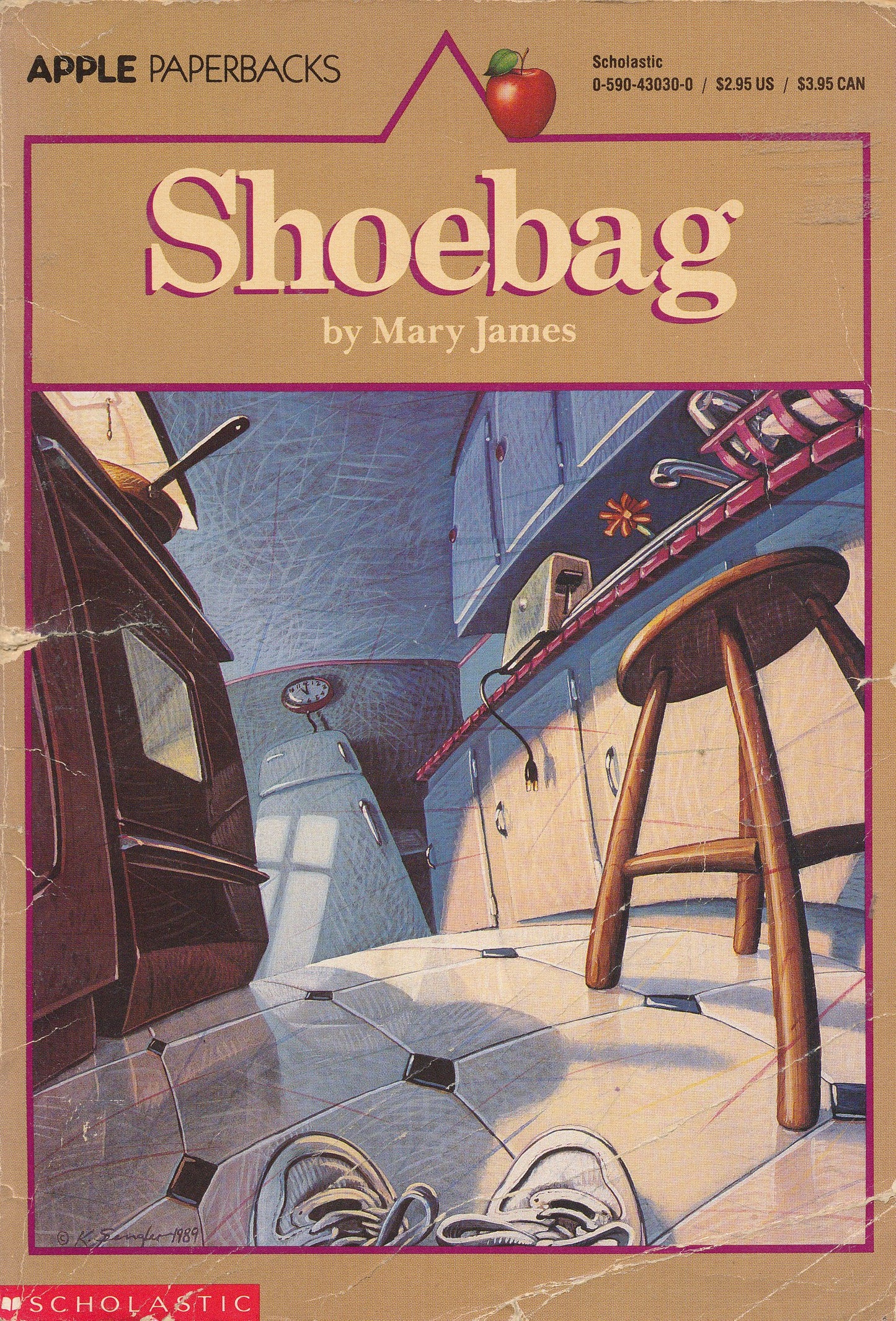Shoebag