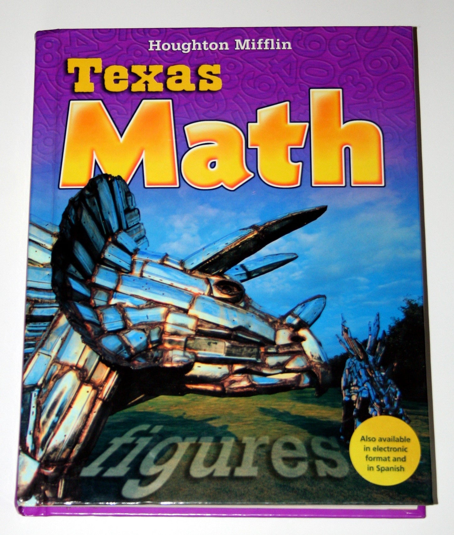 Houghton Mifflin Mathmatics Texas: Student Edition Level 3 2009