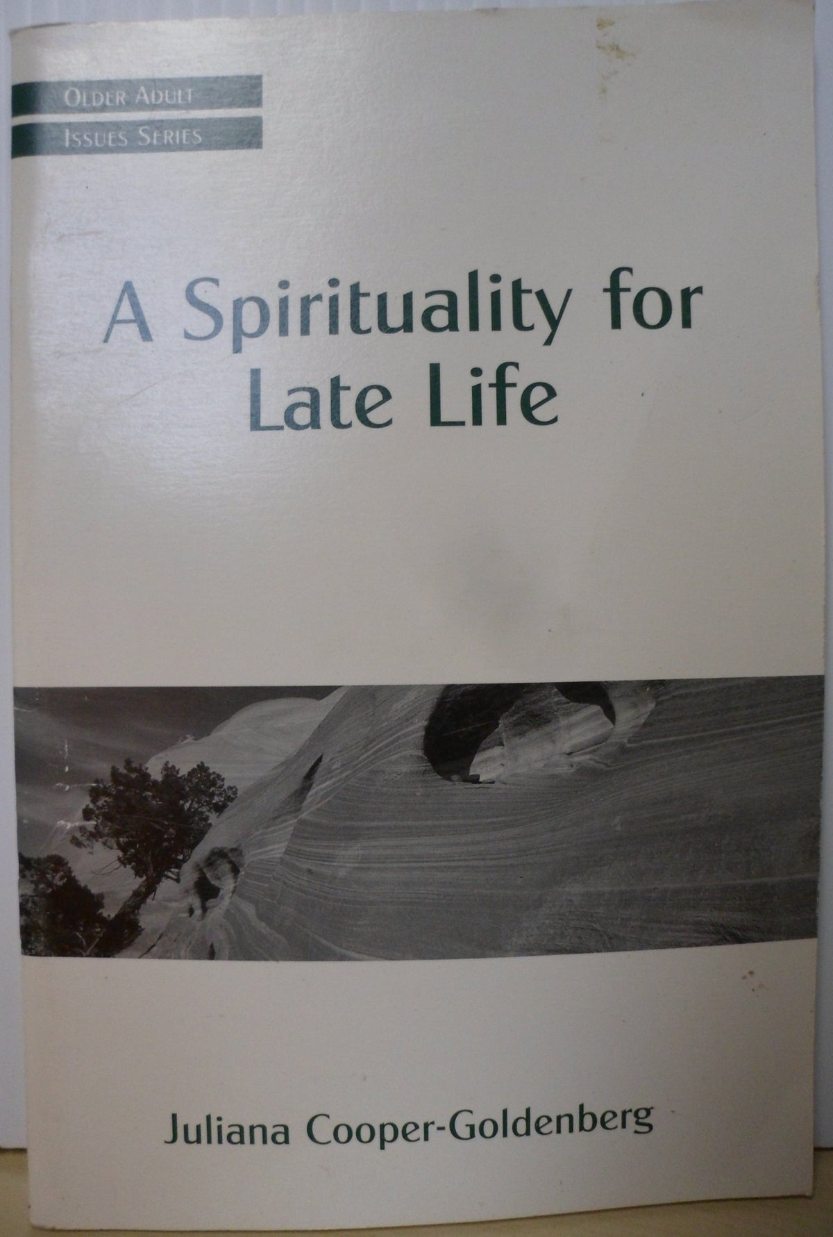 A Spirituality for Late Life (Older Adult Issues Series)
