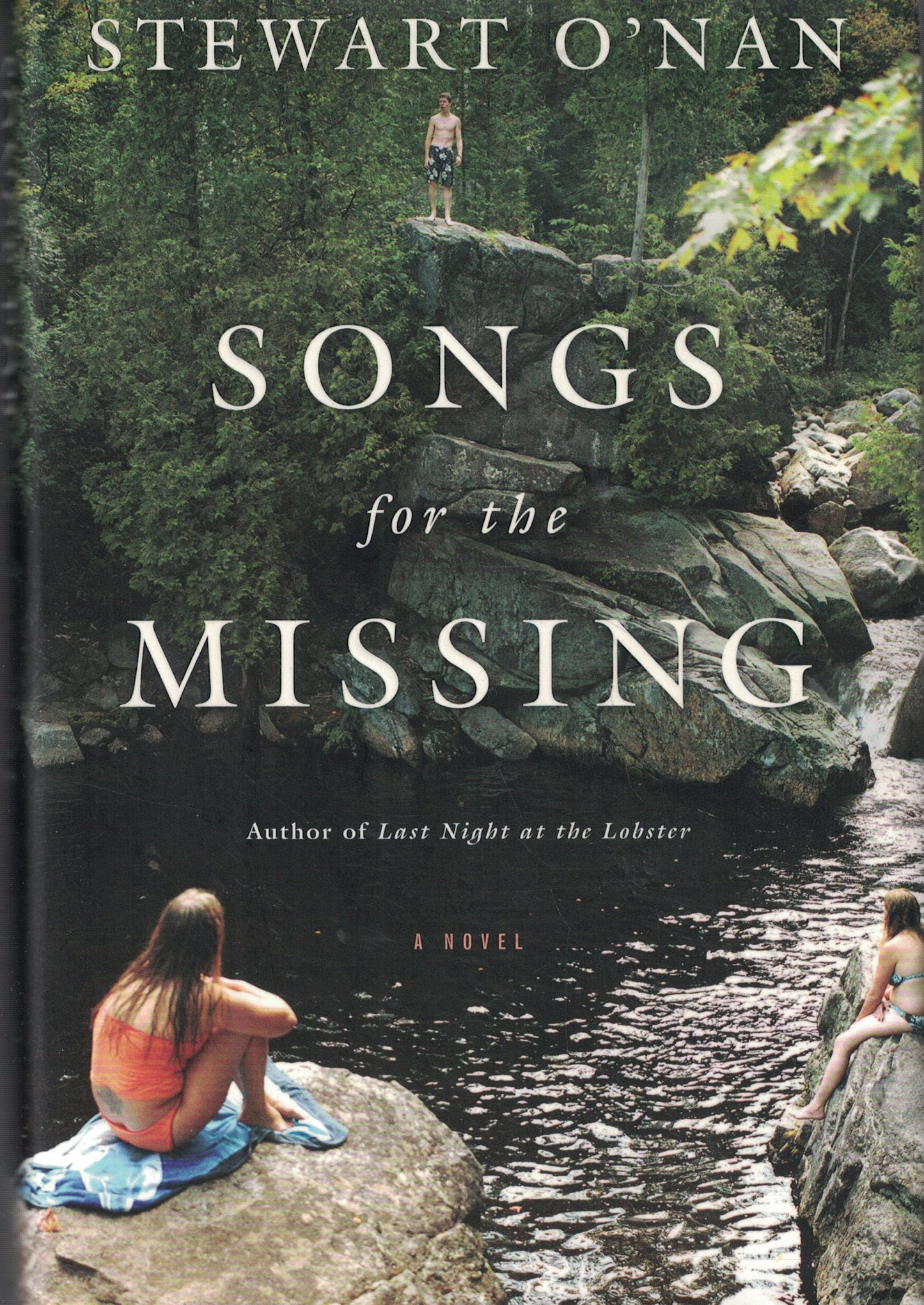 Songs for the Missing: A Novel