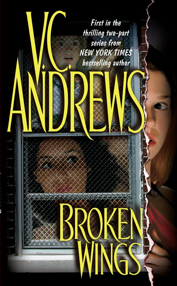 Broken Wings (1)