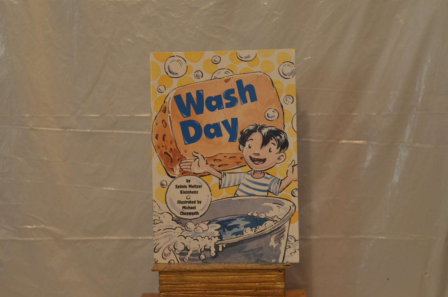 READING 2000 LEVELED READER 1.11A WASH DAY