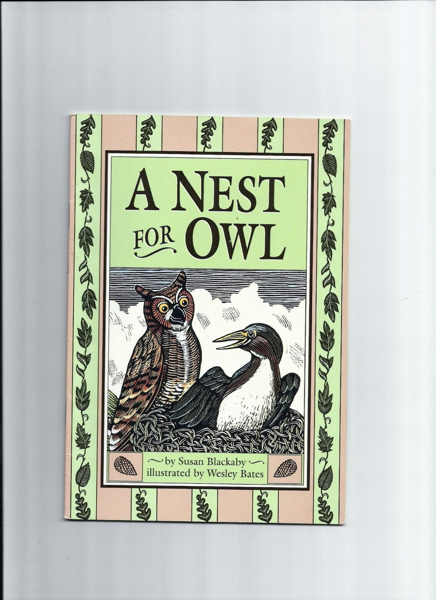 A Nest for Owl (Scott Foresman Reading Leveled Reader, 60A)