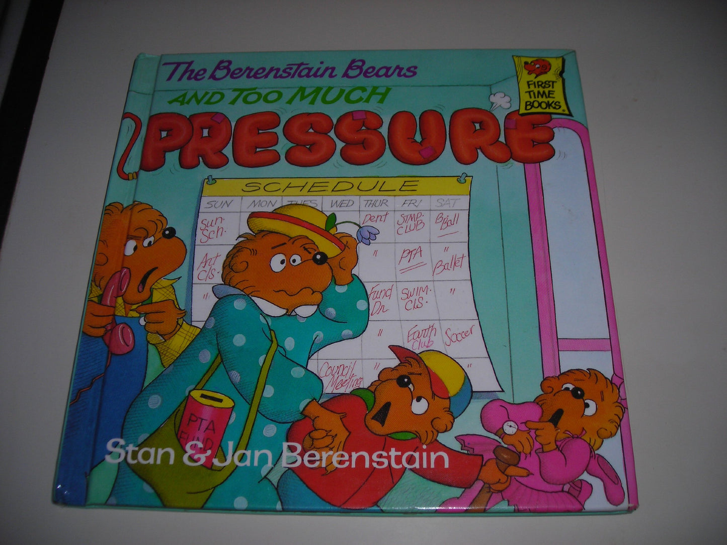 BERENSTAIN BEARS & TOO MUCH PR (First Time Books)