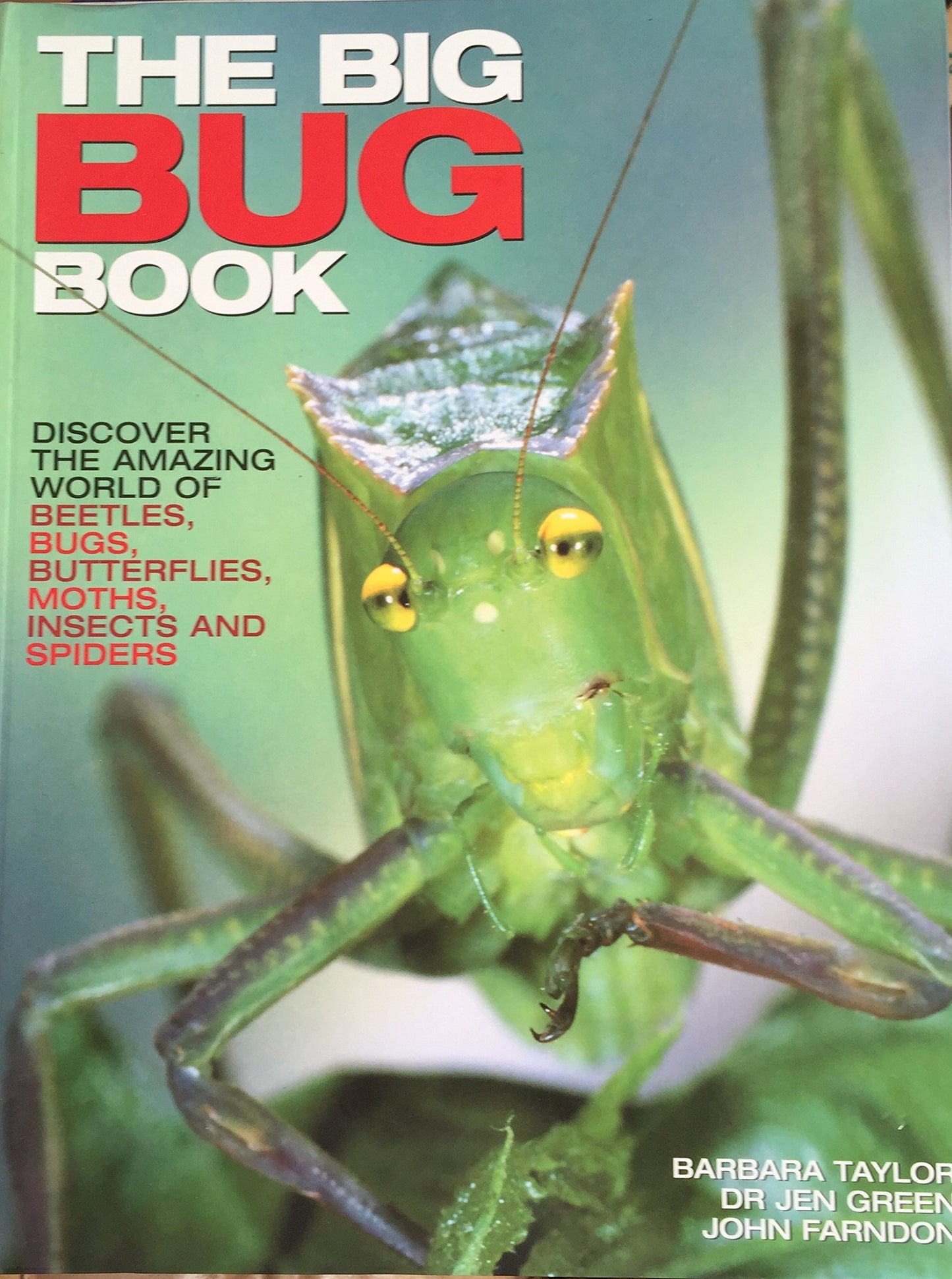 Big Bug Book