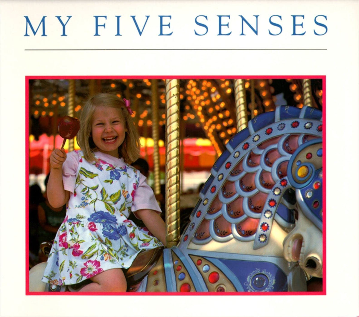 My Five Senses (Aladdin Picture Books)
