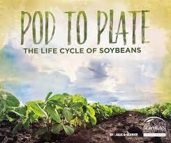 Pod To Plate The Life Cycle of Soybeans
