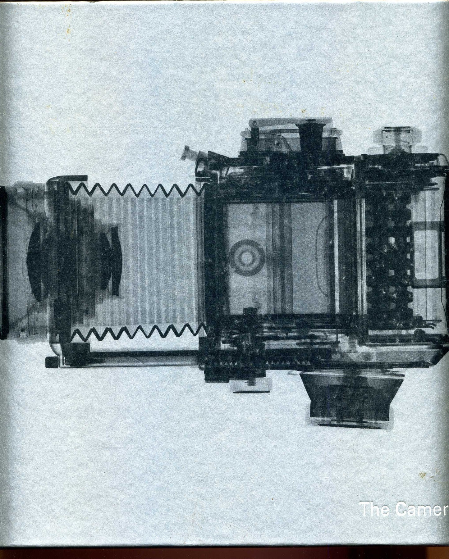The Camera