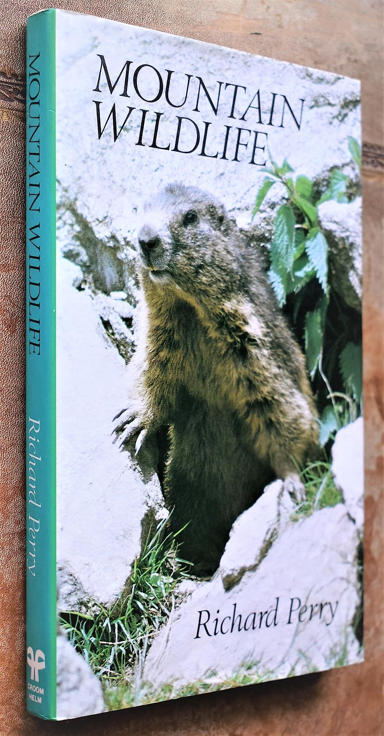 Mountain Wildlife