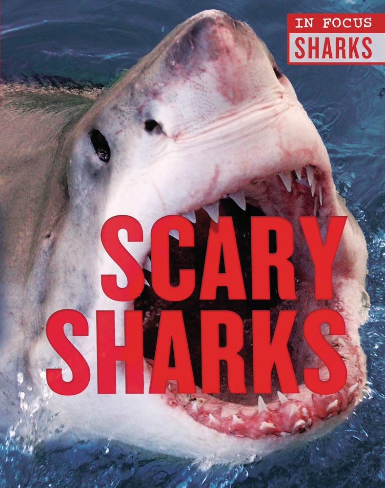 Scary Sharks (In Focus: Sharks)