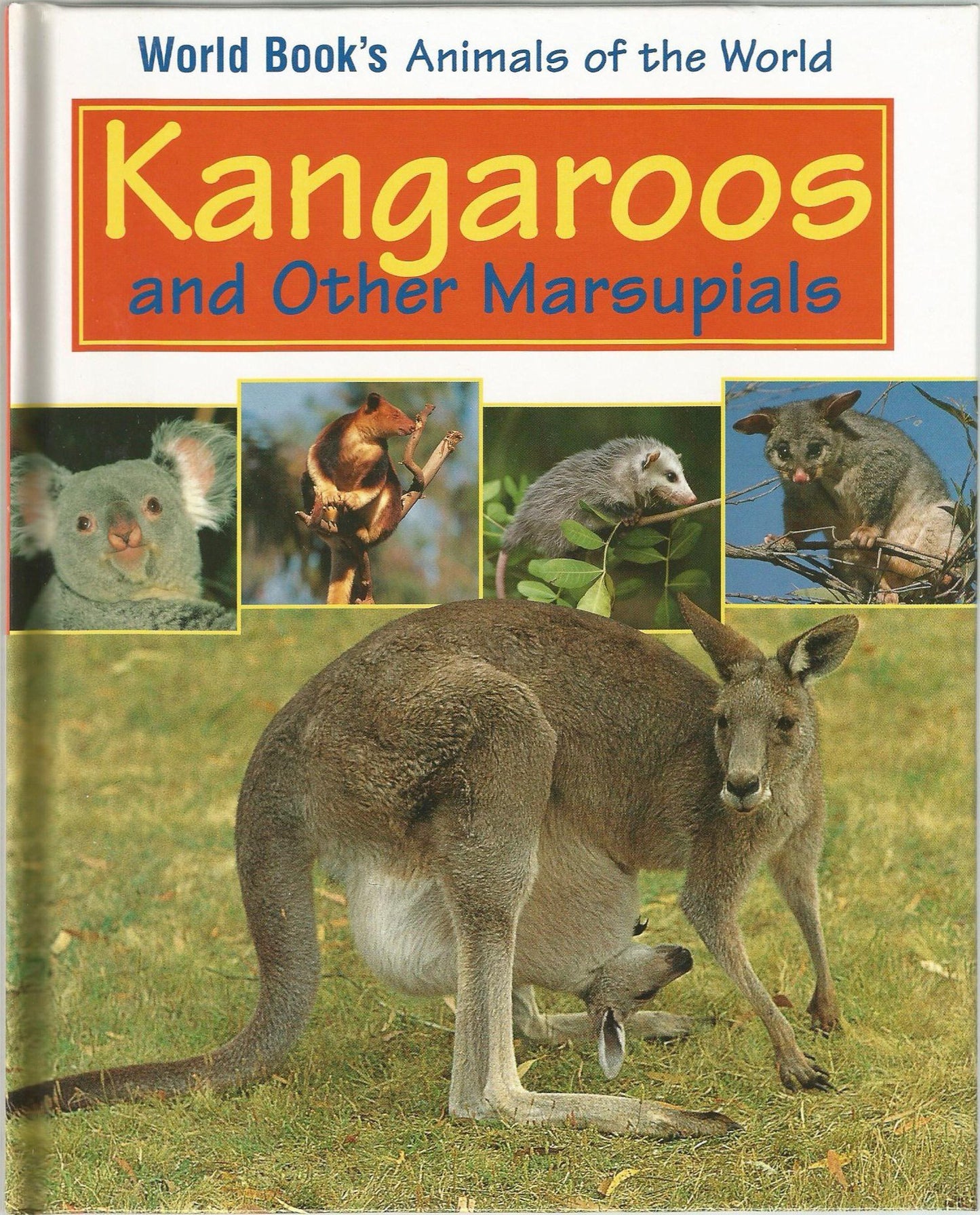 Kangaroos and Other Marsupials (World Book's Animals of the World)