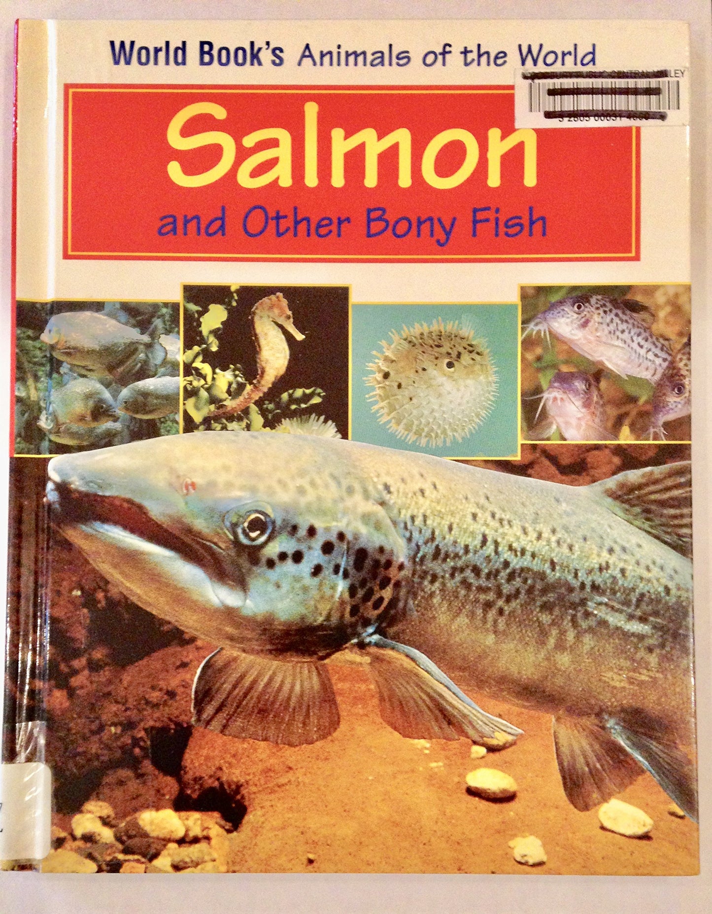 Salmon and Other Bony Fish (World Book's Animals of the World)