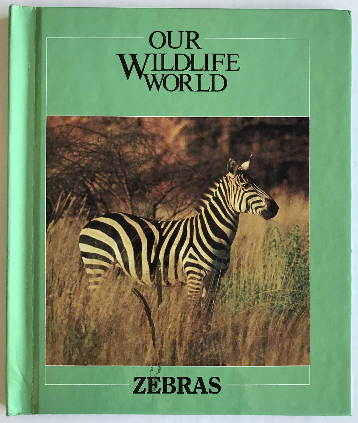 Zebras (Nature's Children)