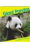Giant Pandas (Pebble Books)