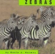 Zebras (Animals)