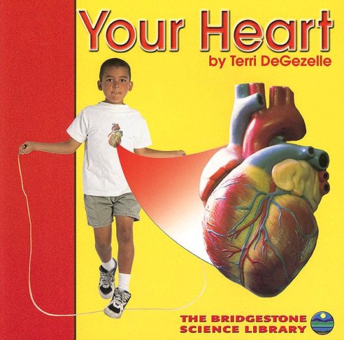 Your Heart (Your Body)