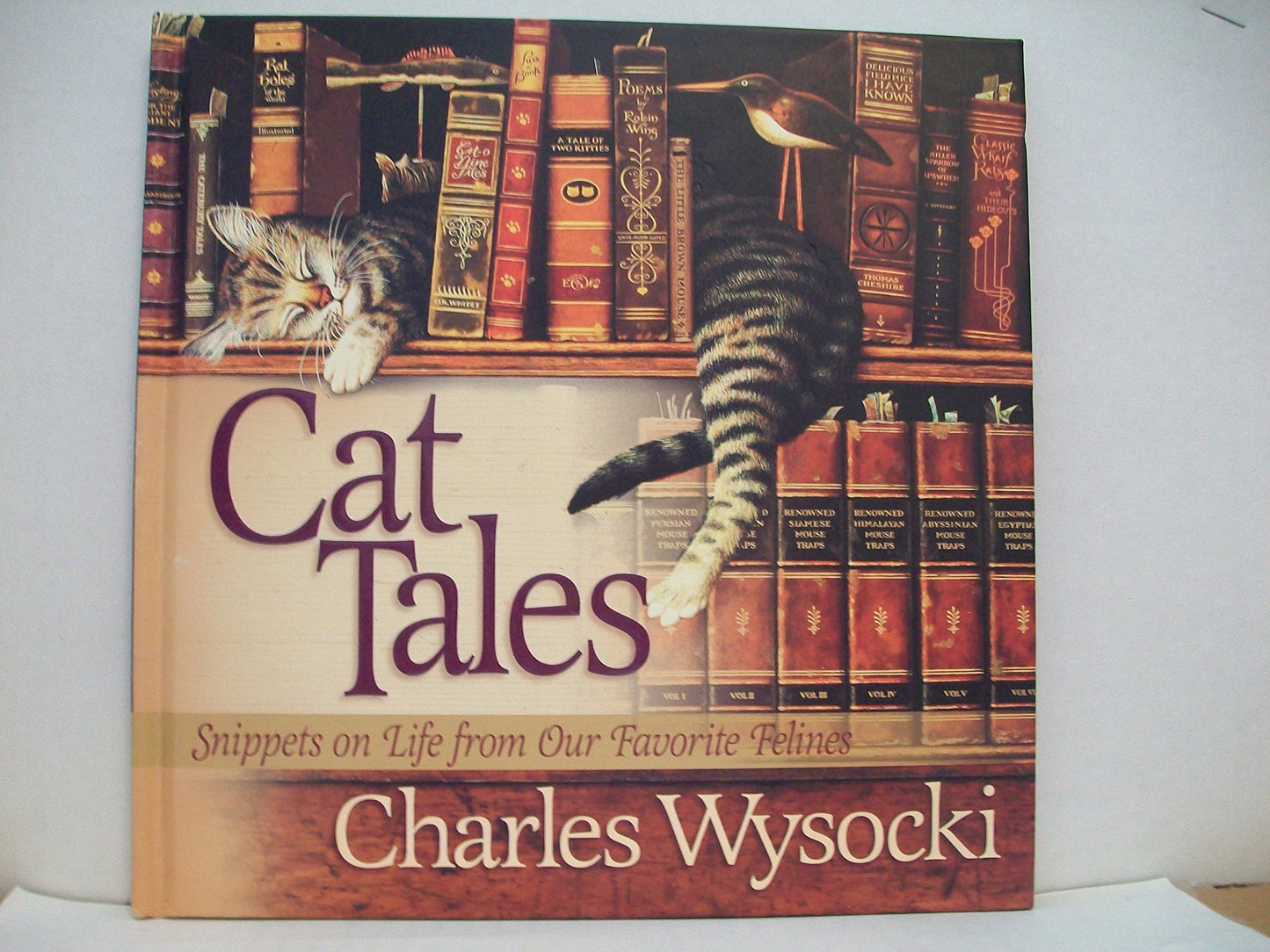 Cat Tales: Snippets on Life from Our Favorite Felines