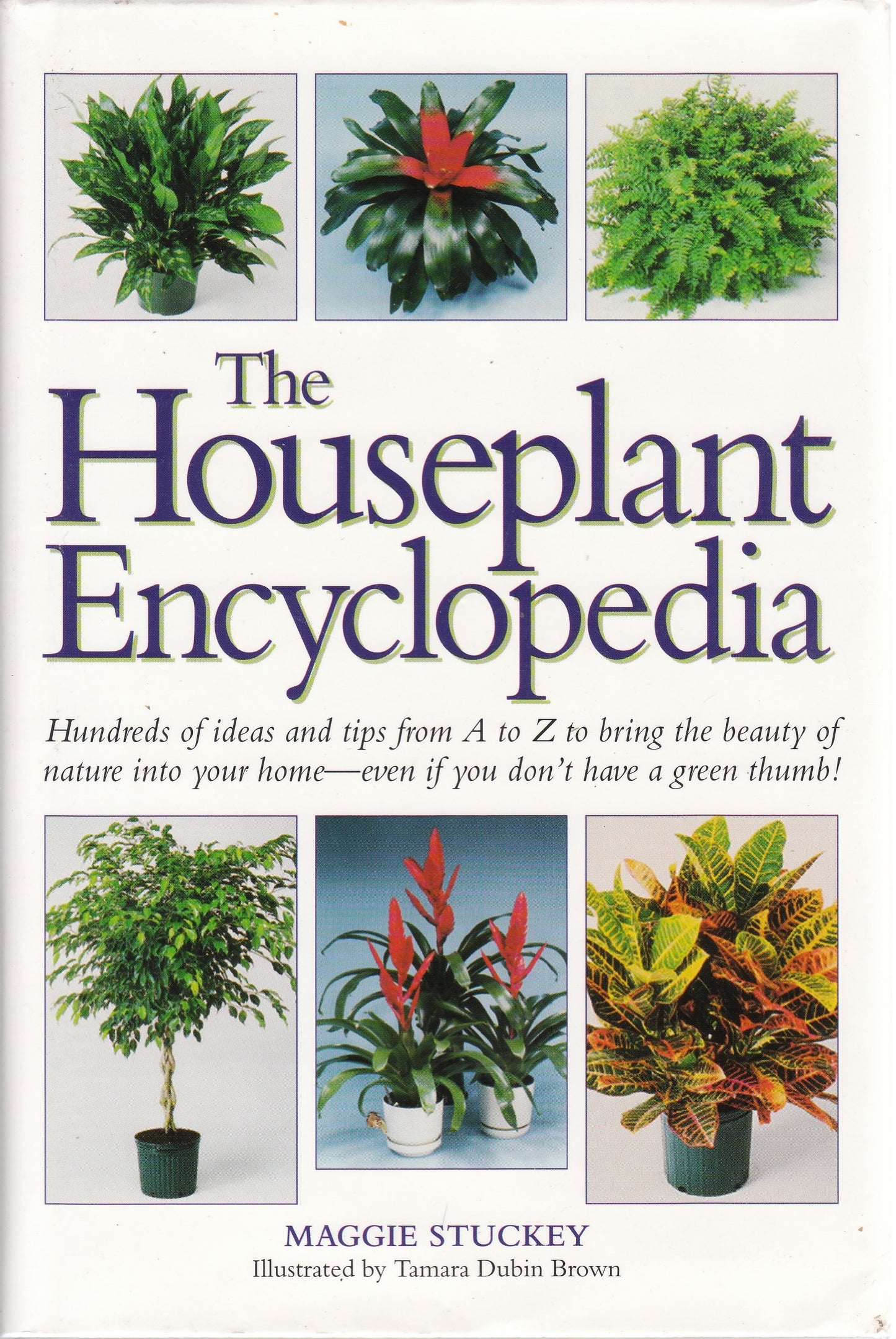 The Houseplant Encyclopedia - 6444