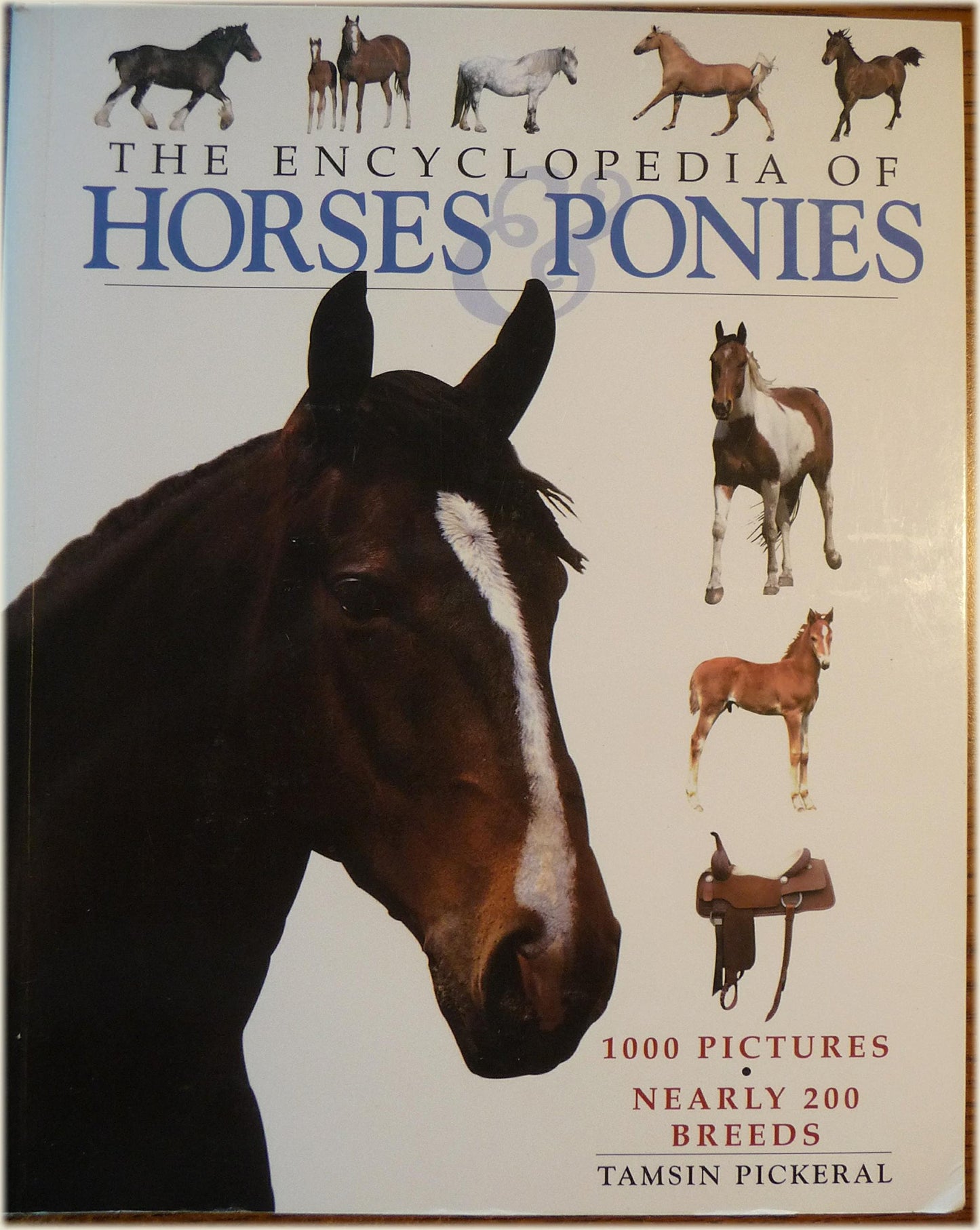 The Encyclopedia of Horses & Ponies