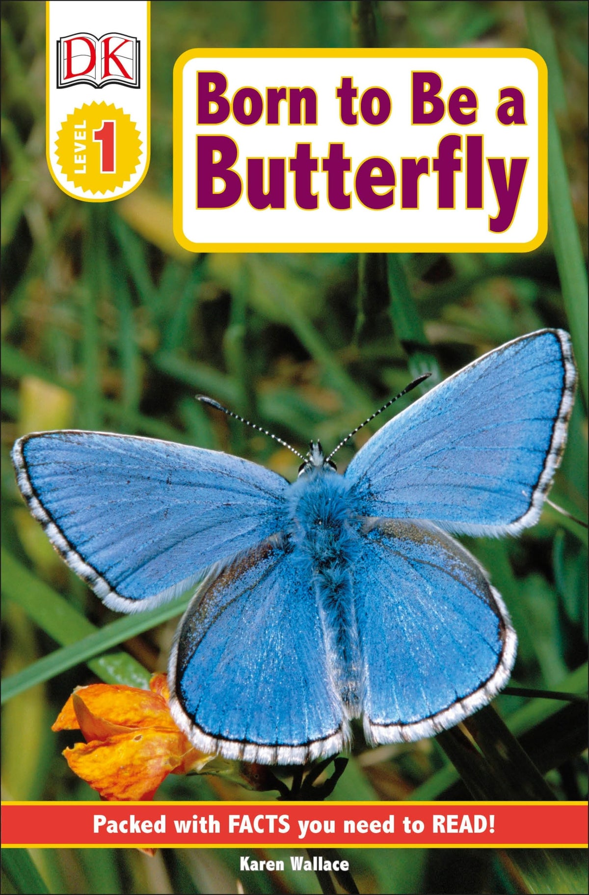 DK Readers L1: Born to Be a Butterfly (DK Readers Level 1)