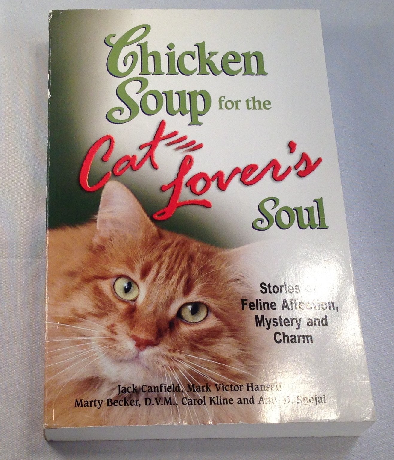 Chicken Soup for the Cat Lover's Soul: Stories of Feline Affection, Mystery and Charm (Chicken Soup for the Soul)
