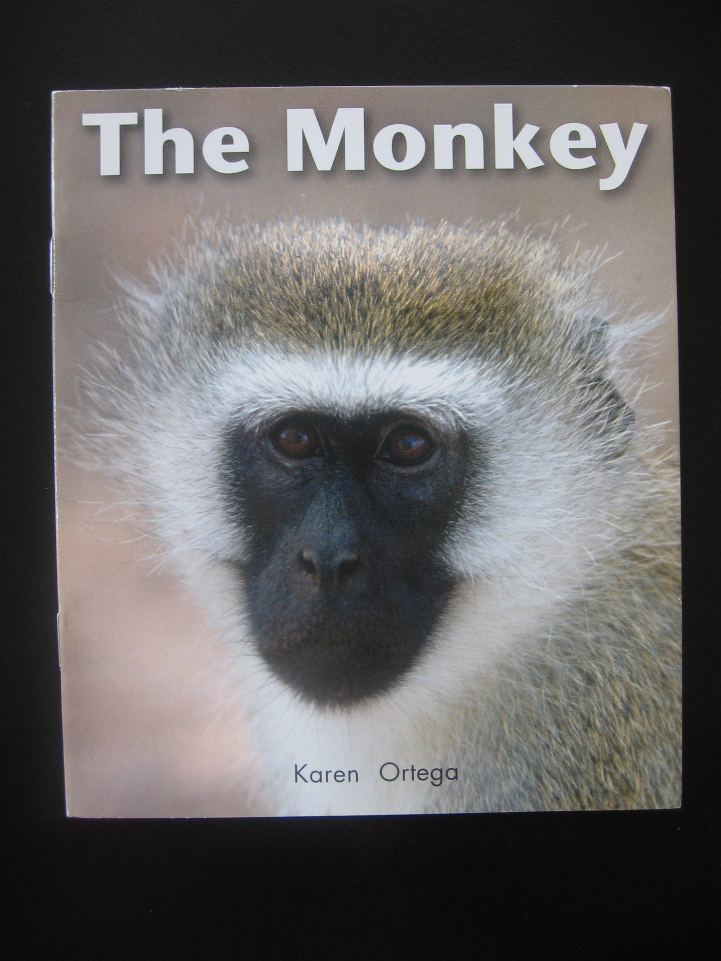 The Monkey (On Our Way English)