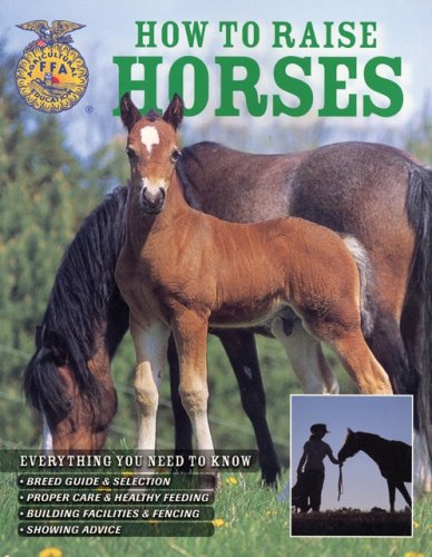 How To Raise Horses: Everything You Need To Know