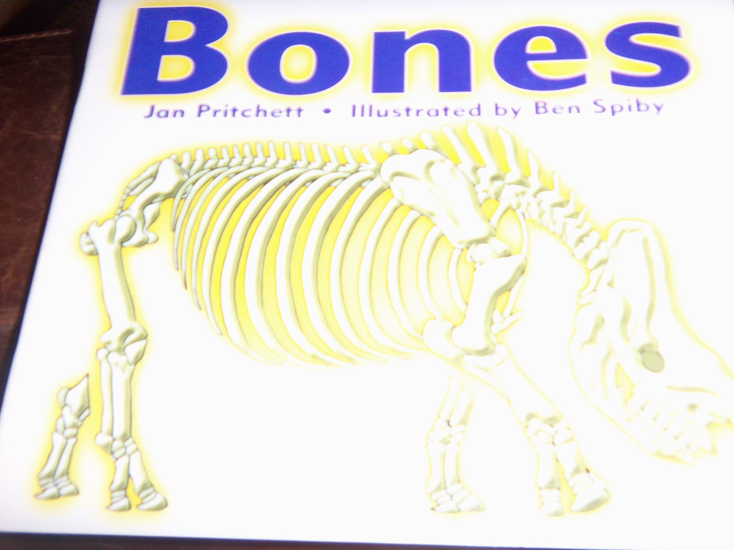 Rigby Literacy: Student Reader Grade 4 Bones , Nonfiction
