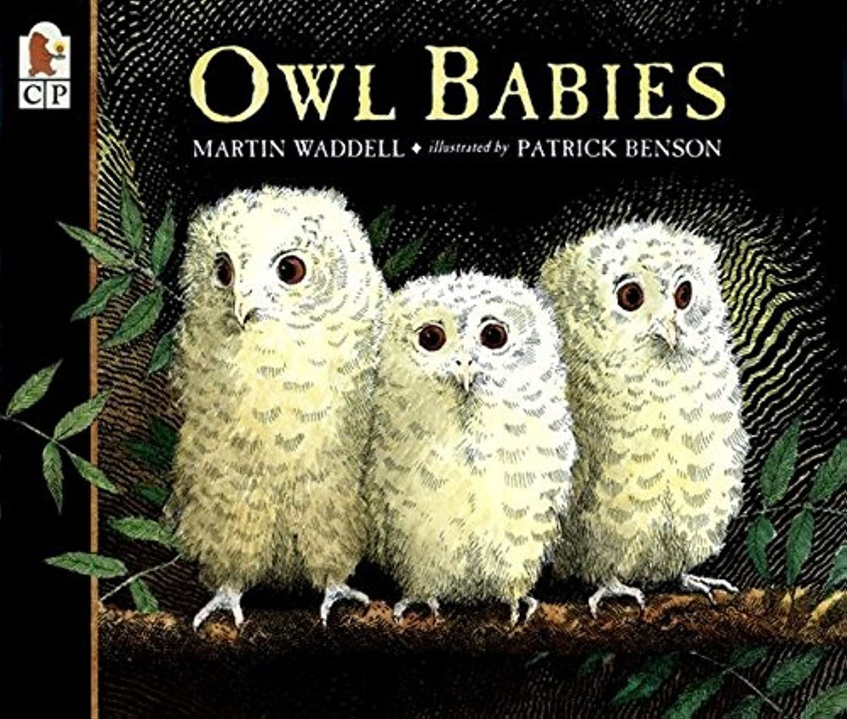 Owl Babies