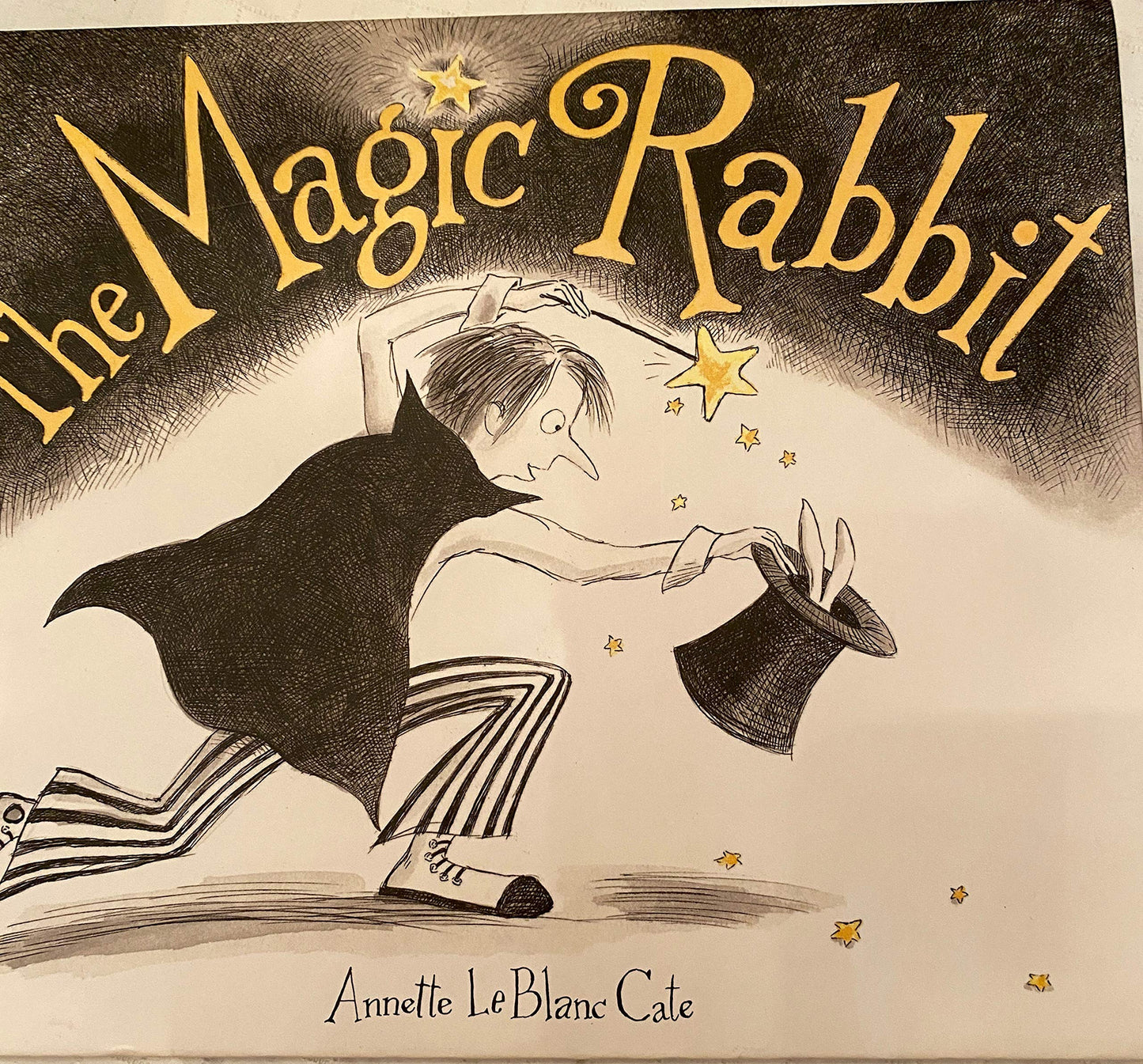 The Magic Rabbit