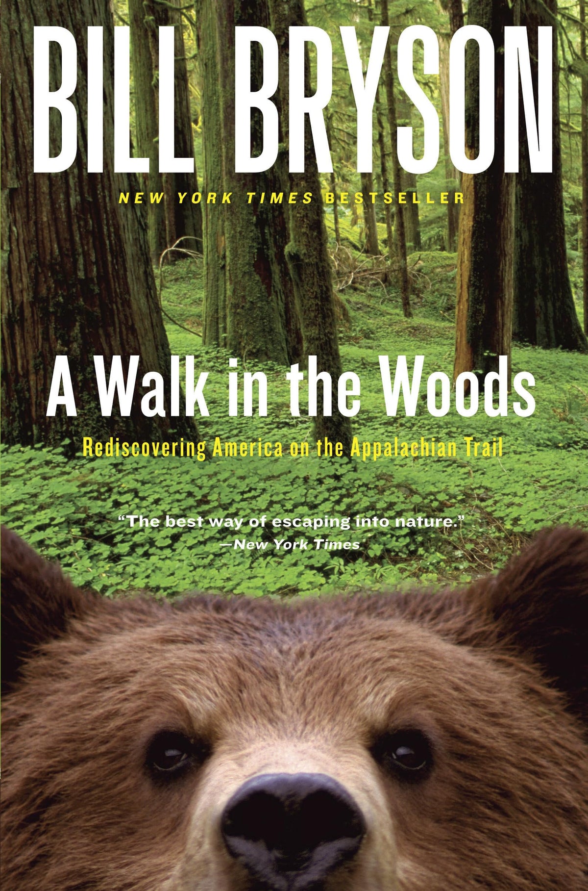 A WALK IN THE WOODS: REDISCOVERI