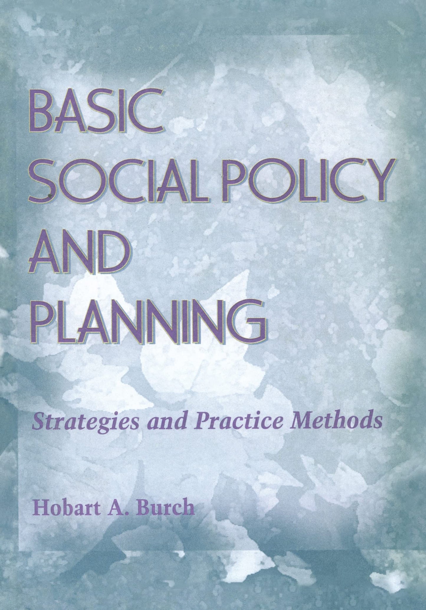 Basic Social Policy and Planning: Strategies and Practice Methods (Haworth Social Work Practice)