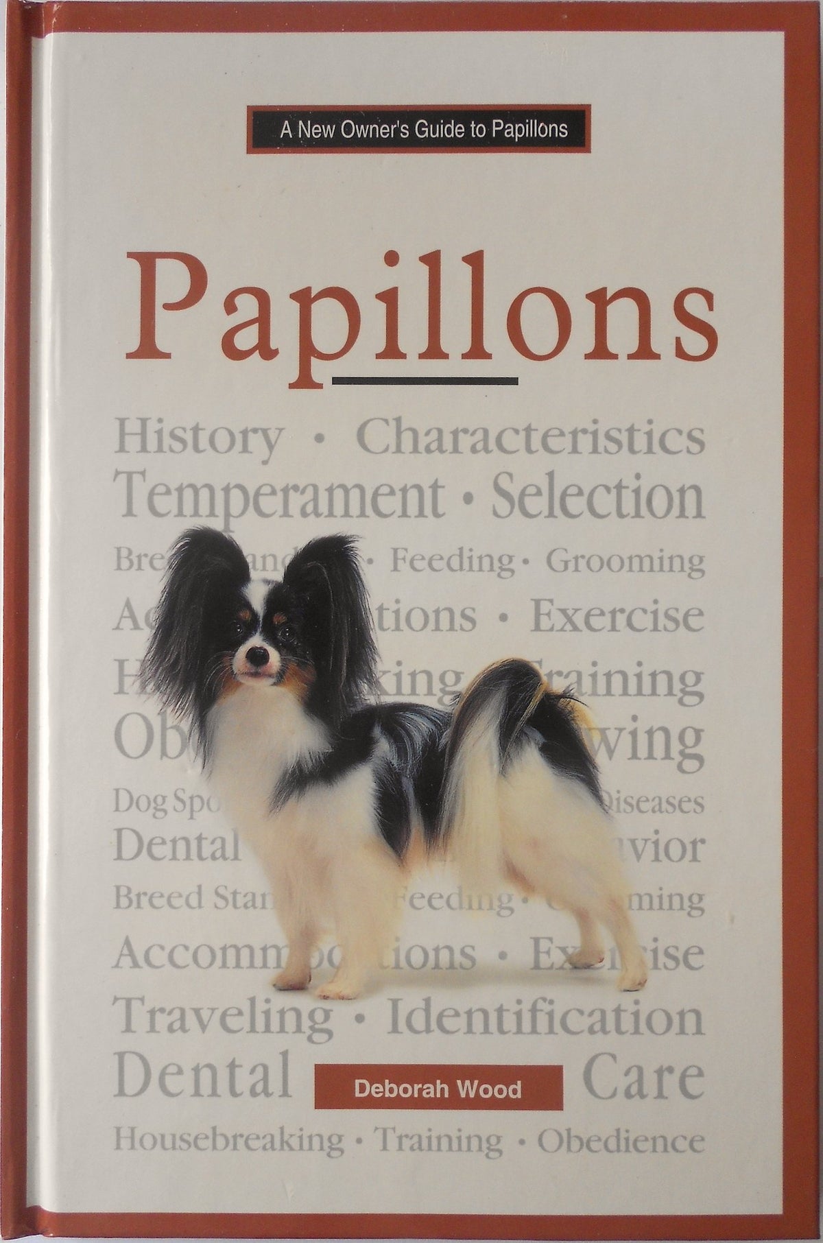 A New Owner's Guide to Papillons