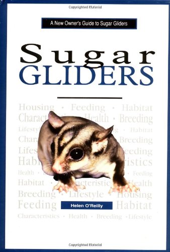 A New Owner's Guide to Sugar Gliders