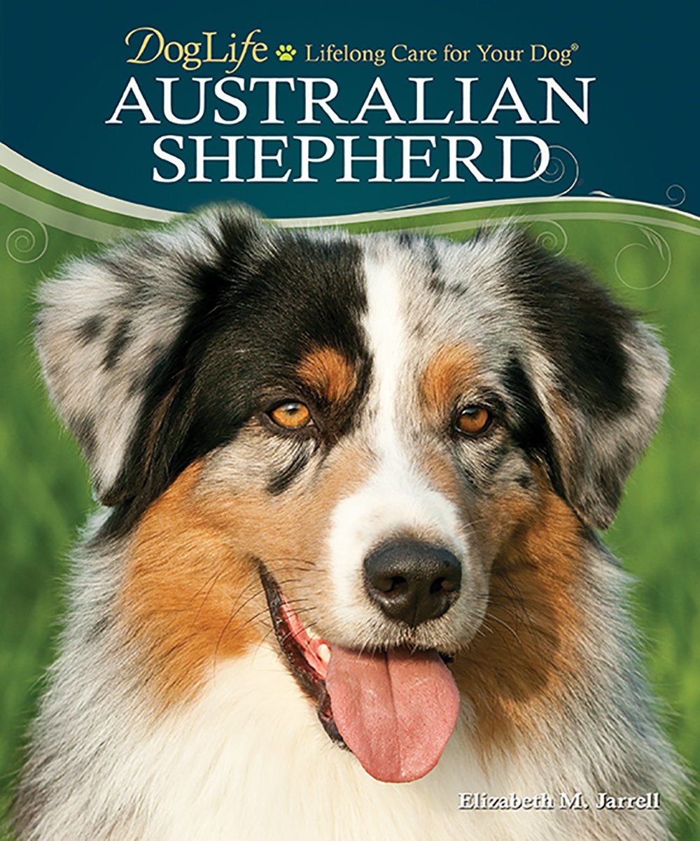 Australian Shepherd (Doglife)