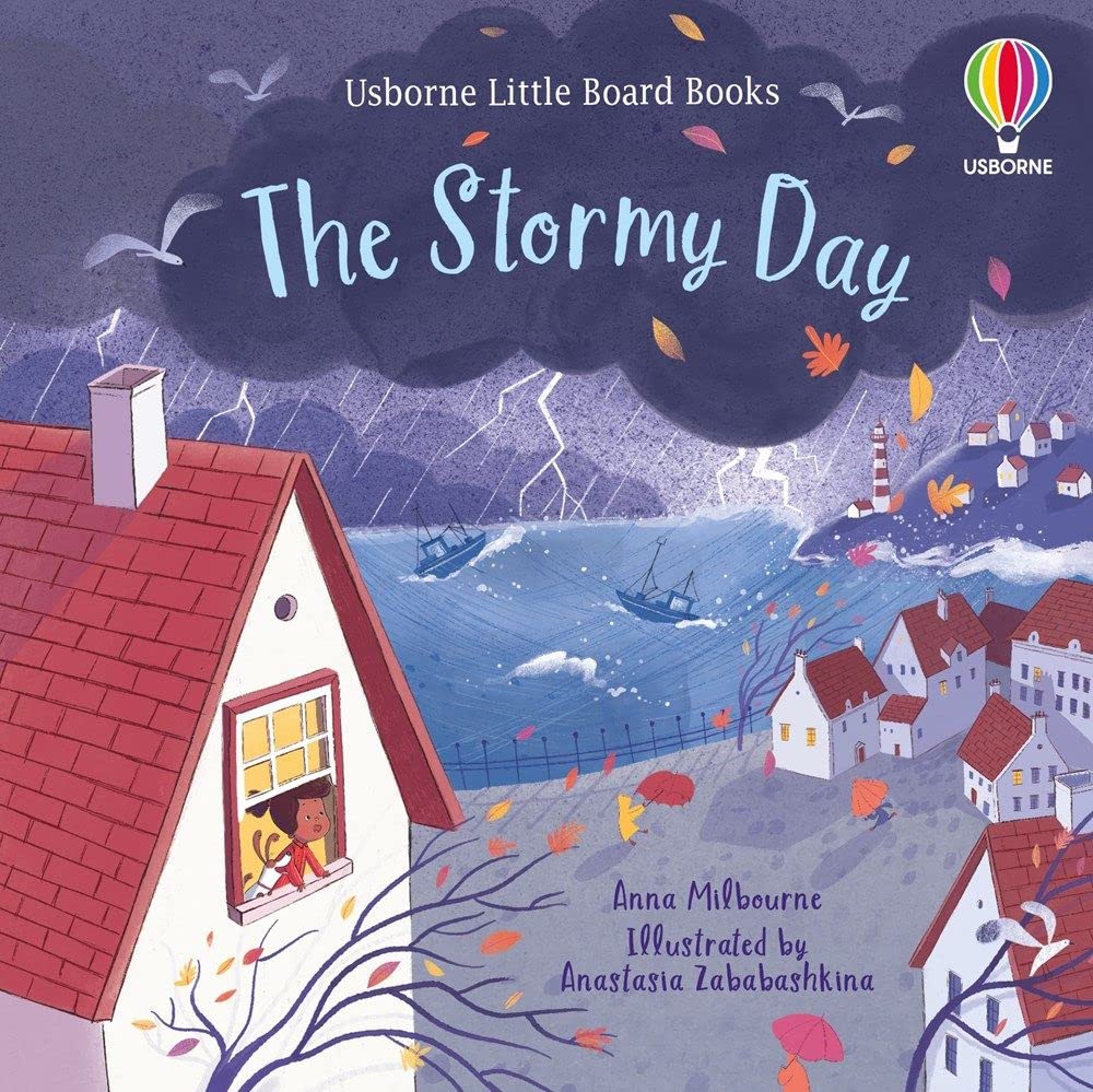 The Stormy Day (QR) (Little Board Books)