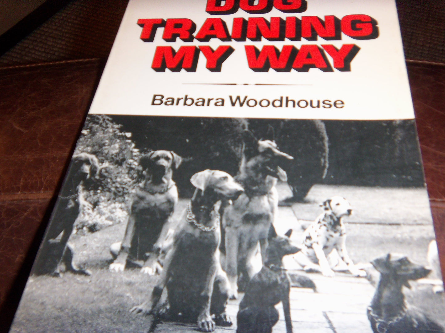 Dog training my way