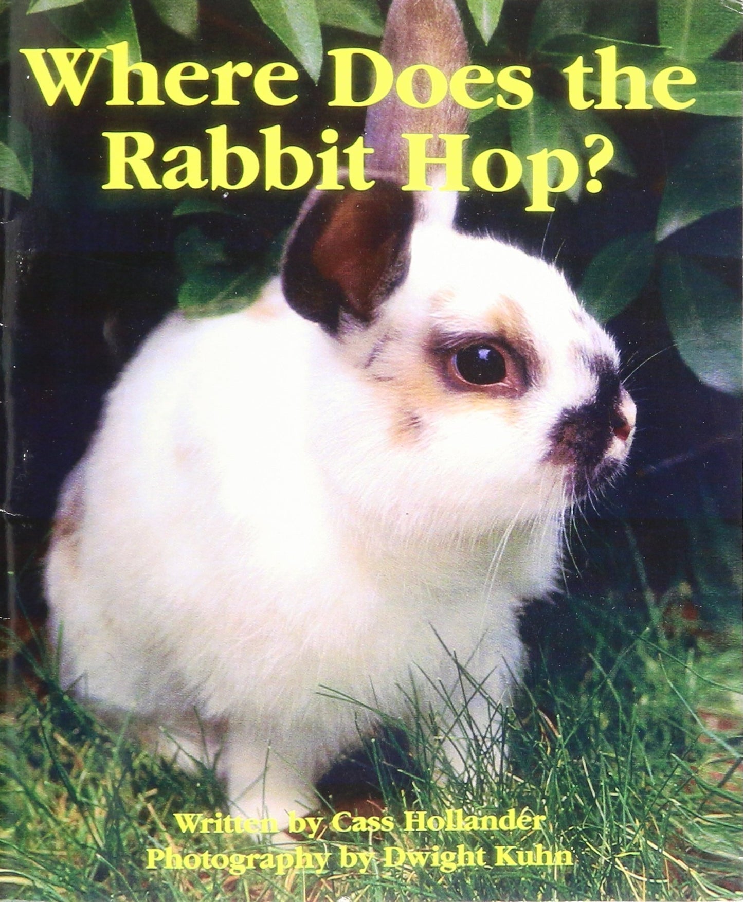 Where Does the Rabbit Hop