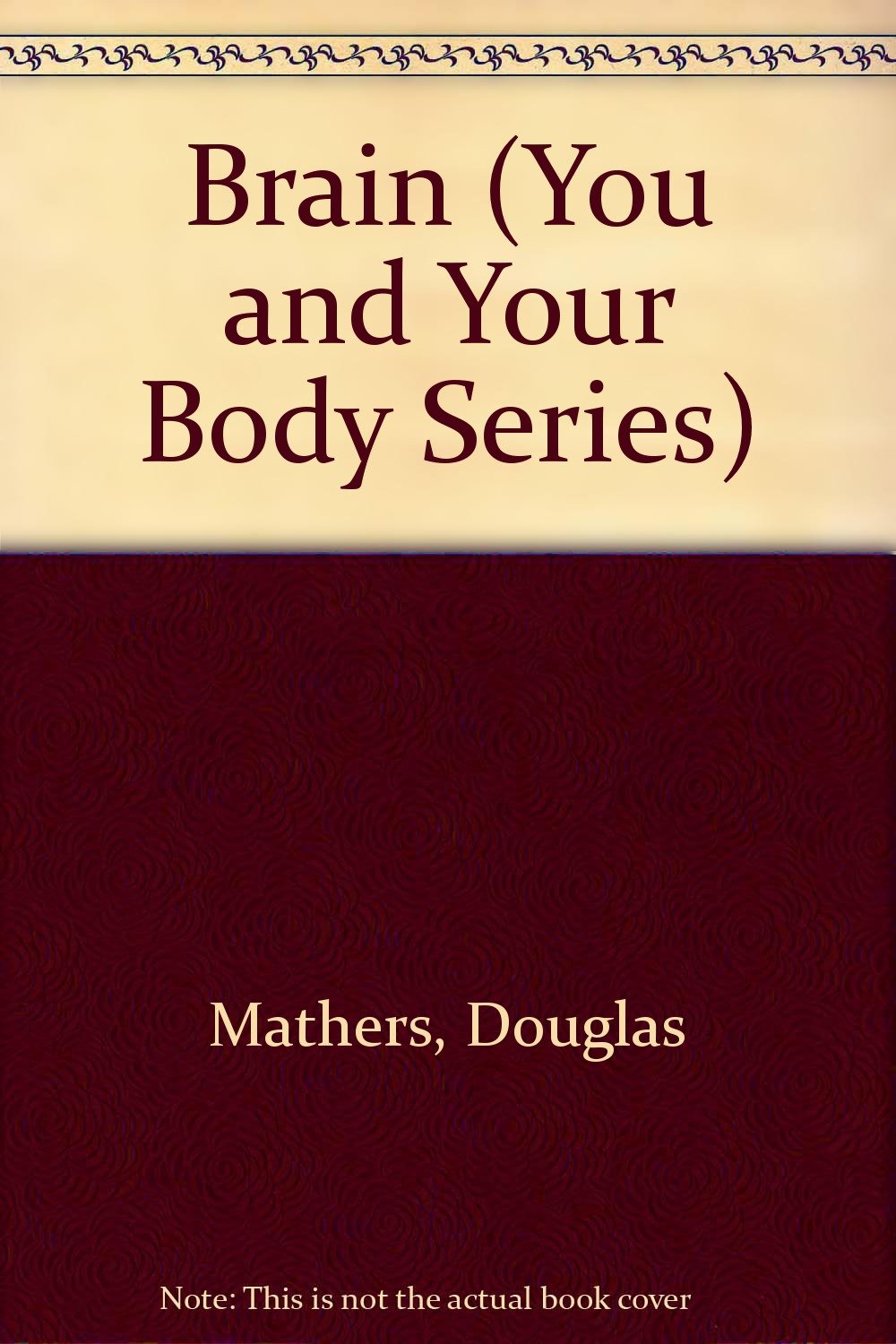 Brain (You and Your Body Series)