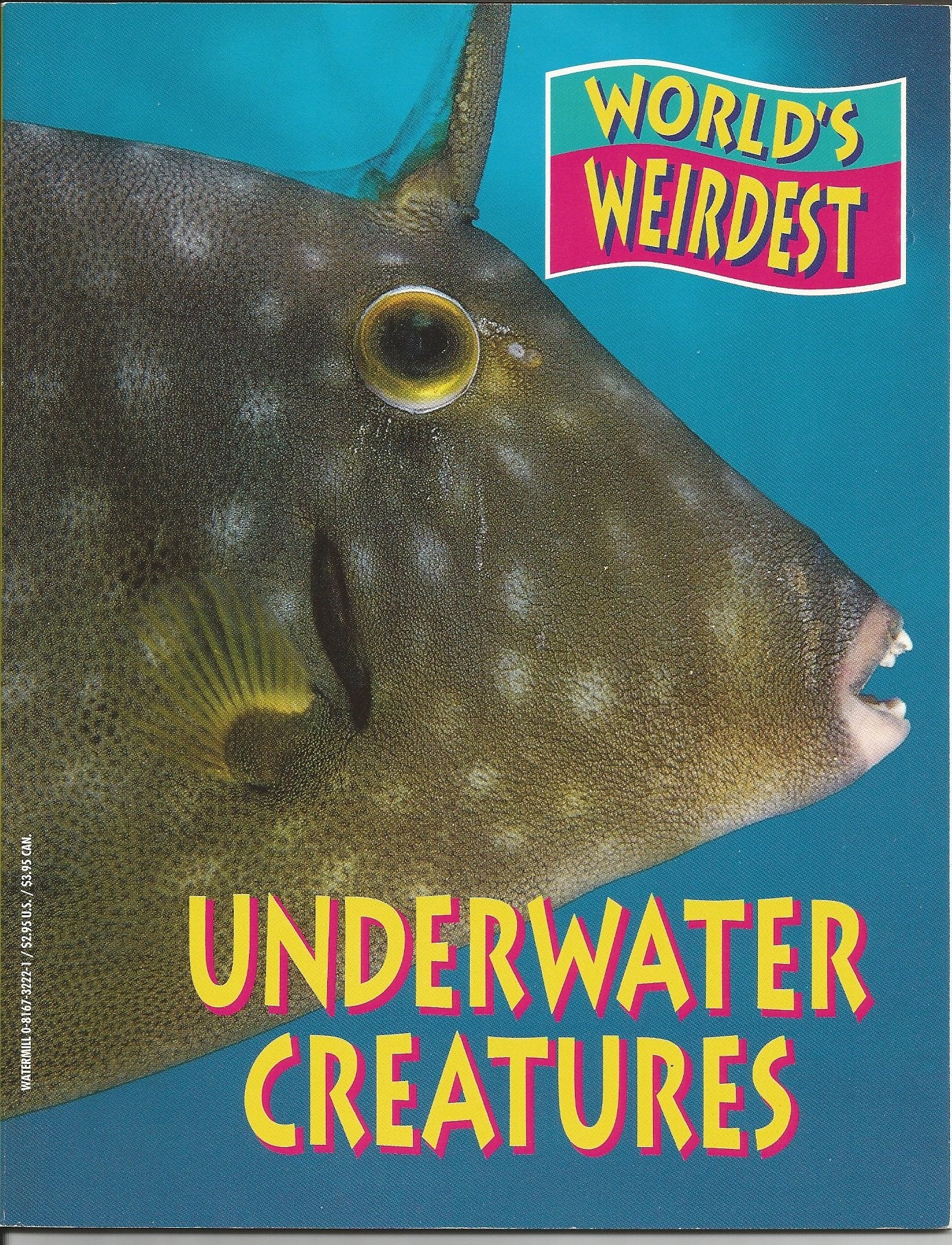World's Weirdest Underwater Creatures
