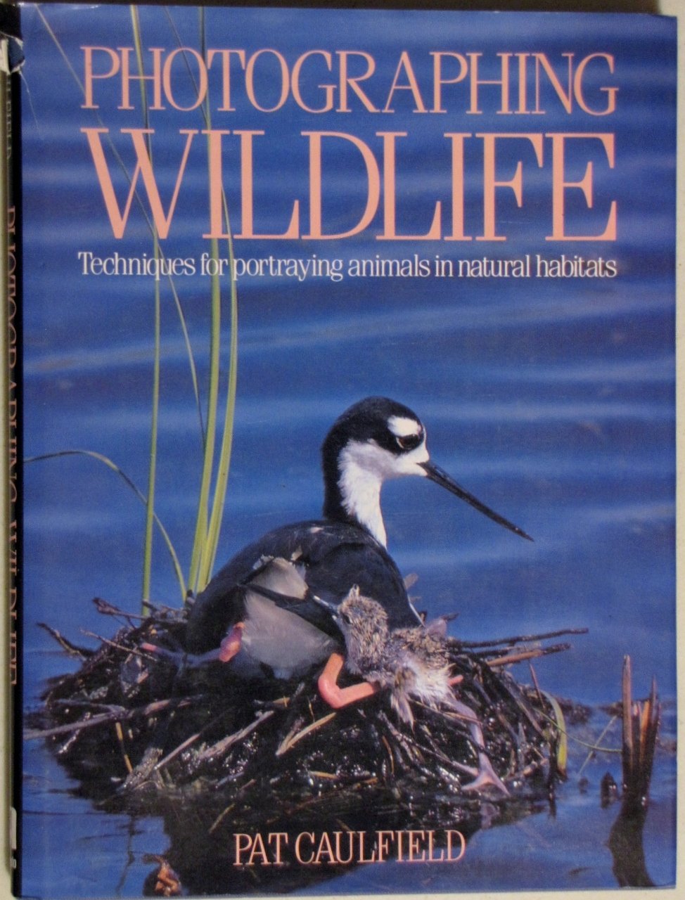 Photographing Wildlife