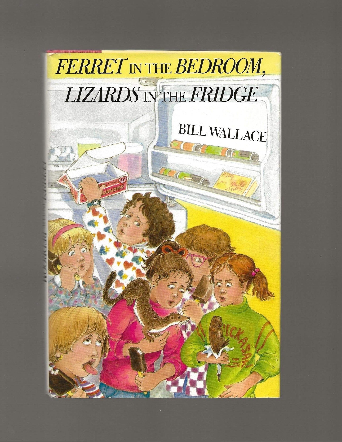 Ferret in the Bedroom