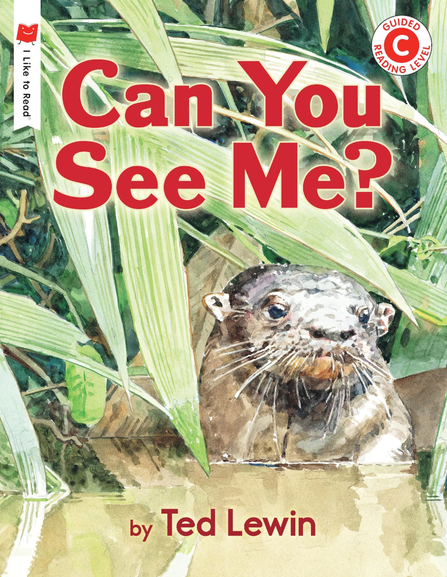 Can You See Me? (I Like to Read)